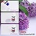 Lavender Essential Oil Aromatherapy Oil Fragrance 100% Pure Premium Quality Aroma Scented Organic Natural 10ml 0.34OZ for Car Aromatherapy Machine and Homehold