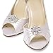 Crystal Rhinestone Shoe Clips - Amanda
