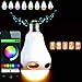 InnoLife - 2 in 1 Bluetooth App Control Music Playing 3W Speaker + Dimmable Multicolored Color Changing LED Lights for Home, Office, Parties, Dinners - US 110 Volts E27 Base (40 Watt Replacement)