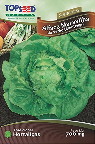 Semente Hortaliças Alface Regina Verão com 20