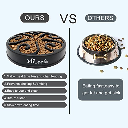 4 Feeder+Bloat+Interactive+Puzzle+Travel