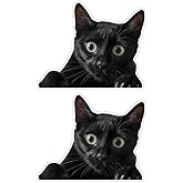A Surprised Black Cat Car Stickers, 2-Pack, 5.91"x4.72", Funny Cat Waterproof Vinyl Decal for Car, Laptop, Wall, Window, Motorcycle Decorative Exterior Accessories |#AZ211