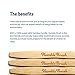 Natural Bamboo Toothbrushes (5pk) - Zero Waist Oral Care - Wooden Toothbrush - Organic, Vegan, Eco-Friendly and Biodegradable (Regular)