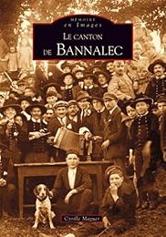 Le  canton de Bannalec