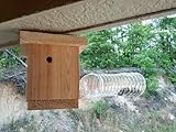 Bees N Things Plastic Bottle Carpenter Bee Trap