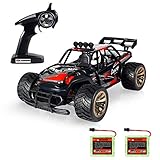 Theefun 1:16 Electric RC Car Off Road Vehicle 2.4GHz Radio Remote Control Car 2W 10MPH High Speed Racing Monster Truck 2 Rechargeable Battery