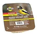 Audubon Park 13069 Peanut Delight Suet Cake Wild