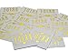 Funny Bone Products Bachelorette Bride and Bride Tribe Temporary Tattoos, Metallic Shiny Gold Flash, Bachelorette Party Supplies Ideas Accessories Favors