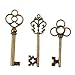 Bingcute 6 Type of 30Pcs Antique Bronze Vintage Skeleton Keys and Antique Silver Skeleton Keys -Vintage Style Key Charms