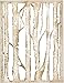 Sizzix Thinlits Die Branched Birch by Tim Holtz, MultiColor