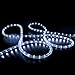 WYZworks 288LEDs, 25ft LED 3/8” Cool White Rope Light, Connectable Outdoor Permanent Waterproof Accent Exterior Lighting, Flexible Clear PVC, ETL Certified, Holiday, Backyard Patio, Home, Decor