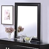 Coaster 201074 Traditional Mirror, Black
