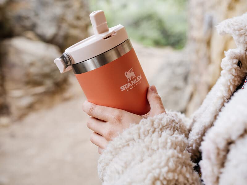 Stanley IceFlow Stainless Steel Tumbler with Straw, Vacuum Insulated