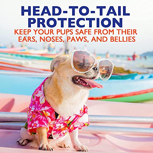 EBPP Dog Sun Skin Protector Spray Safe for All Breeds with No Zinc