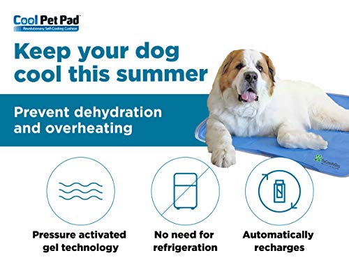 pet cooling mat canada