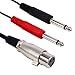 Yeworth 5ft/1.5m XLR to 6.35mm [1/4 inch] Audio Y Splitter Cable, 1 XLR Female to 2 Dual 6.35mm 1/4