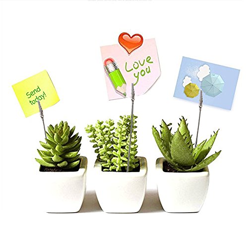 image for ManYee 50 Pcs Wire Card Holder Metal Wire Alligator Clamp Clips Long-T