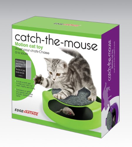 motion cat toy