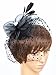 Fascinator on Hairclip for Women Mesh Feather A-Black