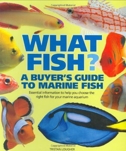 What Fish?: A Buyer's Guide to Marine Fish Paperback – 1 Oct. 2006