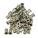 BQLZR Flat Head Galvanization M6 Insert Rivet Nut Golden Pack of 50
