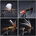 Maxcatch Dry / Wet / Nymph Fly Fishing Flies Kit Assortment Fly Fishing Lure