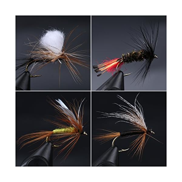 Maxcatch-Dry-Wet-Nymph-Fly-Fishing-Flies-Kit-Assortment-Fly-Fishing-Lure Maxcatch-Dry-Wet-Nymph-Fly-Fishing-Flies-Kit-Assortment-Fly-Fishing-Lure
