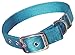 Hamilton Double Thick Nylon Deluxe Dog Collar, 1-Inch by 28-Inch, Teal