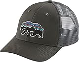 Patagonia Fitz Roy Bear Trucker Mid Crown Adjustable Hat, Forge Grey (Forge Grey, OS)
