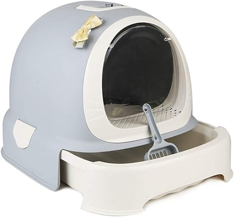 Gallon Kuszob Ovakodik Maison Toilette Chat Bois Amazon Tiburonsalmoninstitute Org