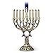 Hallmark Keepsake Jewish Ornament 2018 Year Dated, Menorah Feast of Dedication Metal