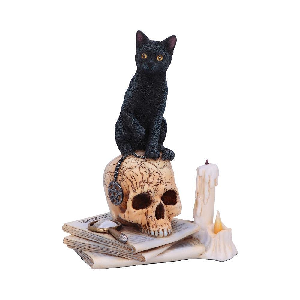 Nemesis Now Lisa Parker Spirits of Salem Figurine 16.5cm, Resin, Lisa Parker Figurine, Spirits of Salem Artwork, Salem Witch Trials Gothic Ornament, Cast in the Finest Resin, Expertly Hand-Painted