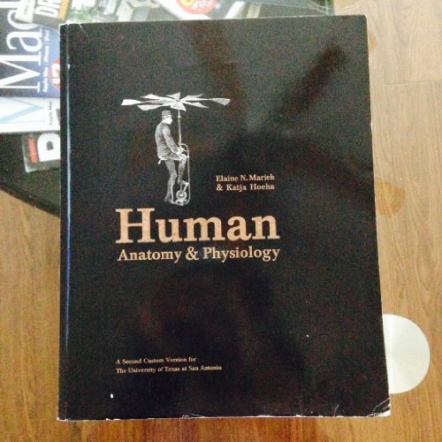 usa university best for in kinesiology Hoehn & HUMAN ANATOMY PHYSIOLOGY 2nd by Custom & Marieb usa university best for in kinesiology Hoehn & HUMAN ANATOMY PHYSIOLOGY 2nd by Custom & Marieb