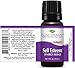 Plant Therapy Self Esteem Essential Oil Blend for Confidence, 10 mL (1/3 oz), 100% Pure, Undiluted, Therapeutic Grade