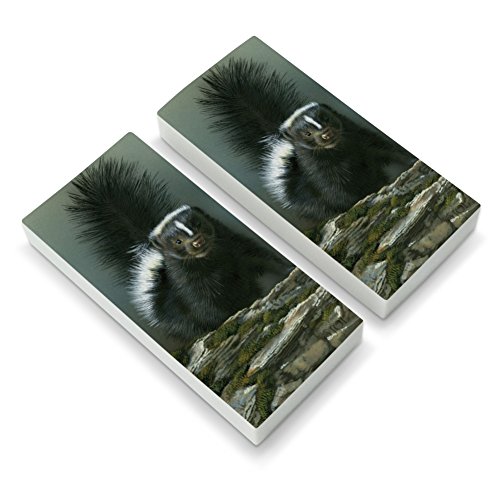 Curious Skunk Eraser Set of 2