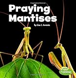 Praying Mantises (Little Critters)