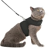 Escape Proof Cat Harness with Leash - Holster Style Adjustable Soft Mesh - Best for Walking Black Medium