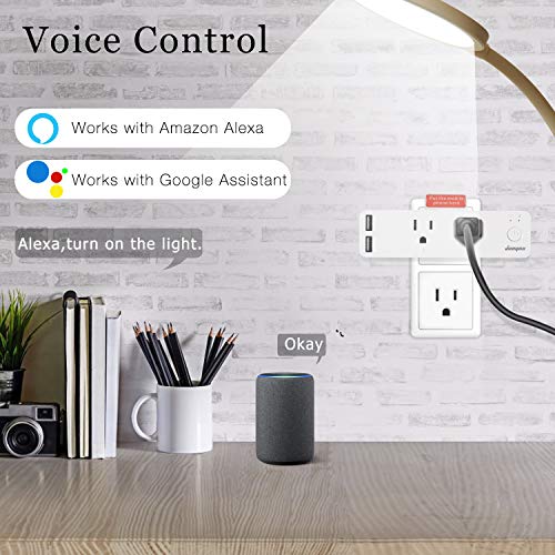 Dual Smart Plug, Smart Outlets Work with Alexa, Echo & Google Home, 2