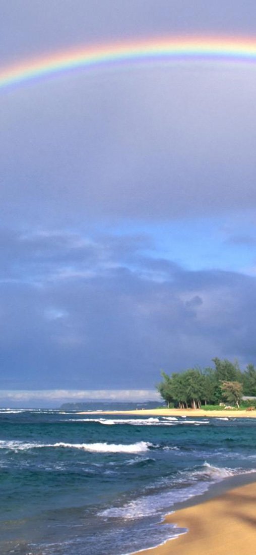 PeelitStickit, Beautiful Nature Wall Murals, ID-1002, vinyl