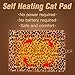 Self Heating Cat Pad for Pet, Warming Pet Bed Mat Safety Cat Pad with Leopard Print Great for Puppies and Cats in Cold Weather, Beige
