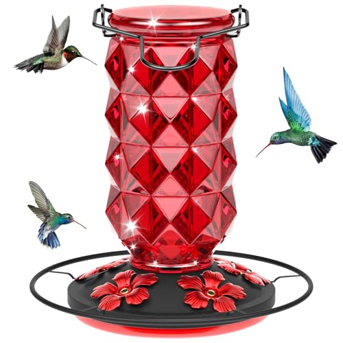 Glass Hummingbird Feeders