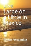 Live Large on a Little in Mexico (Vengeance series) by