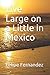 Live Large on a Little in Mexico (Vengeance series) by