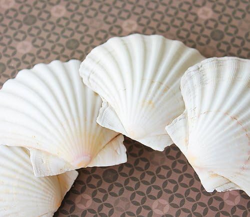 Irish Baking Scallops 3.5-4" | 4 pcs.