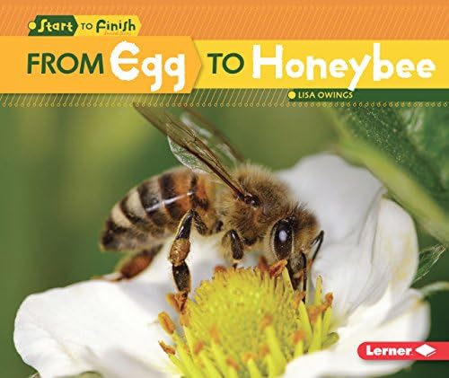 From Egg to Honeybee (Start to Finish, Second Series)