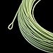 Piscifun Sword Fly Fishing Line with Welded Loop, Weight Forward Floating Fly Line, WF5wt, 100FT, Moss Green