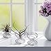 Shappy 6 Pieces Air Plant Stand Airplant Container Tillandsia Holder Stainless Steel Plant Display Racks, Silverthumb 3