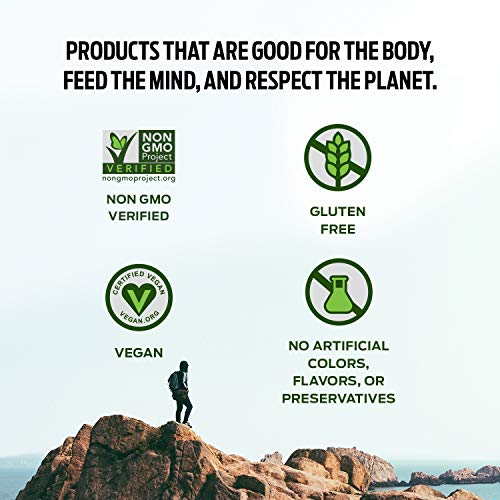 image for Vega Helmets Vega 20g Protein bar Chocolate Peanut Butter, Plant Based