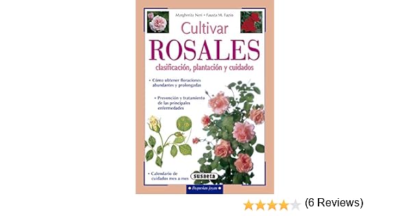 Cultivar rosales, clasificación, plantación y cuidados (Pequeñas ...