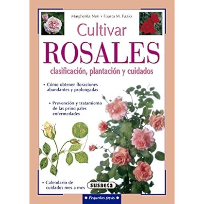 Cultivar rosales, clasificación, plantación y cuidados (Pequeñas Joyas)